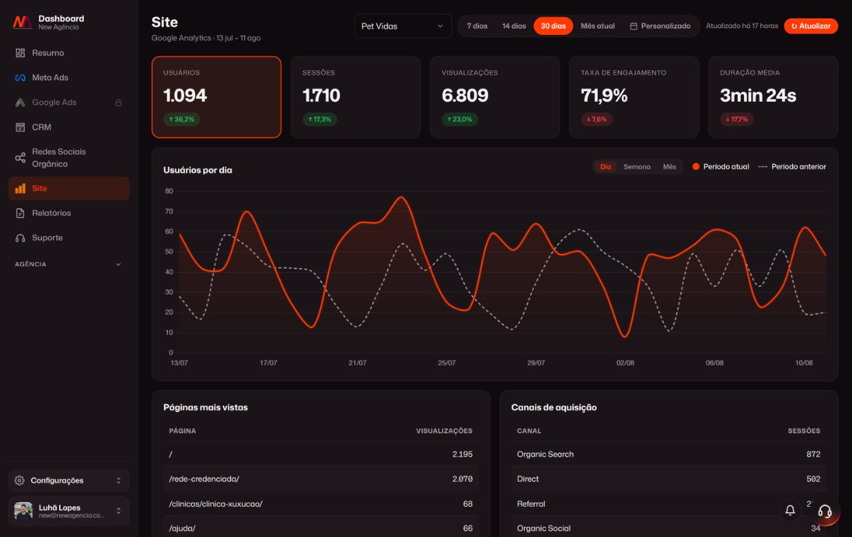 Painel de BI da New Agência — visão do site